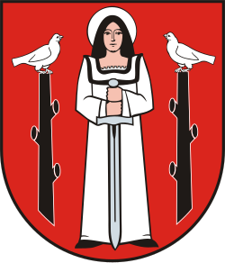 POL Golub-Dobrzyń COA